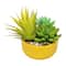 6.5&#x22; Mixed Succulents in Yellow Ceramic Pot by Ashland&#xAE;